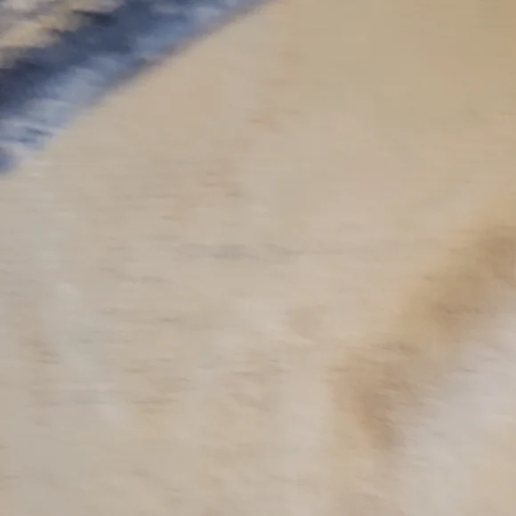 Chico's Blue and White 3/4 Sleeve Relaxed Blouse - Picture 12 of 12